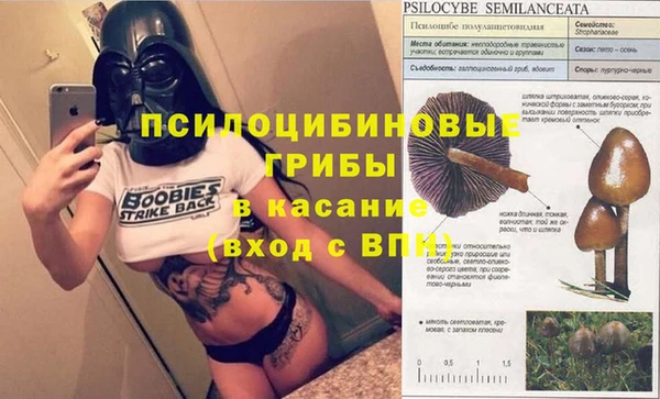 а пвп мука Богородицк