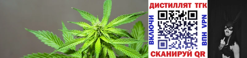 Дистиллят ТГК THC oil  купить наркоту  Велиж 