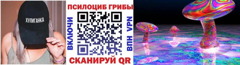 Псилоцибиновые грибы Psilocybe  Велиж 